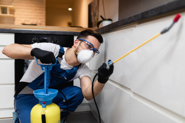 Best Flea Control Services  in Fabens, TX