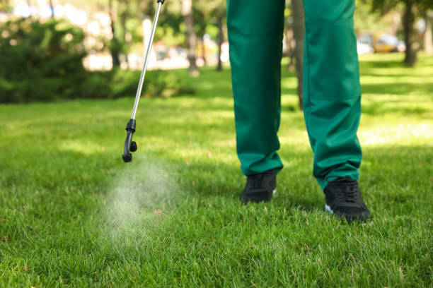 Best Pest Removal Services  in Fabens, TX