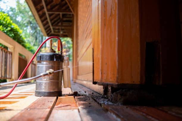 Best Pest Control for Restaurants  in Fabens, TX