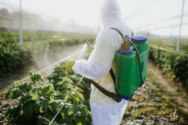 Best Best Pest Control Companies  in Fabens, TX